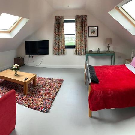 Primrose Place بورتراش المظهر الخارجي الصورة