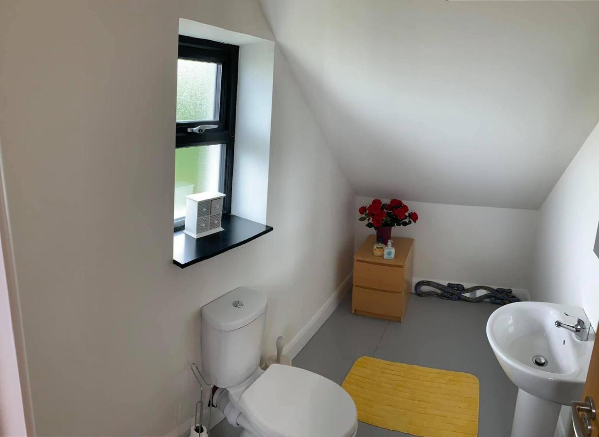 Primrose Place بورتراش المظهر الخارجي الصورة