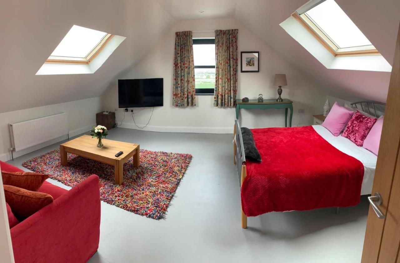 Primrose Place بورتراش المظهر الخارجي الصورة